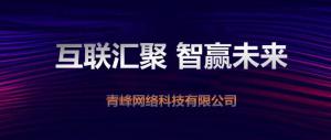 “互聯(lián)聚匯，智贏未來” 2019焦作青峰全網(wǎng)合作峰會***成功！