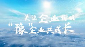 關(guān)注行業(yè)價值，豫企業(yè)共成長--青峰網(wǎng)絡(luò)